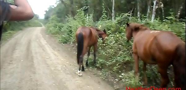 Xxx Jungle Movie Girls Sex With Horse - XXX horse 6 s9 by teen 2236 HD Free Porn Movies at Porno Video Tube