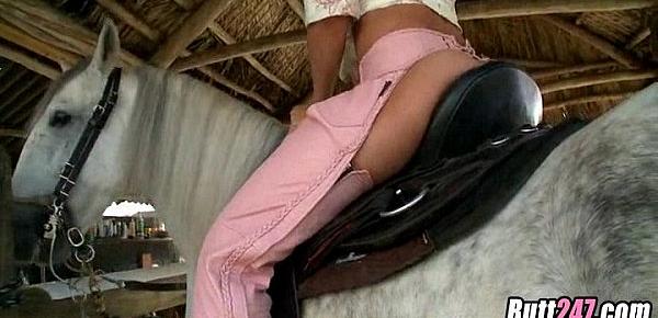 XXX fucked by a horse f 2563 HD Free Porn Movies at Porno Video Tube